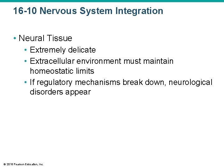 16 -10 Nervous System Integration • Neural Tissue • Extremely delicate • Extracellular environment