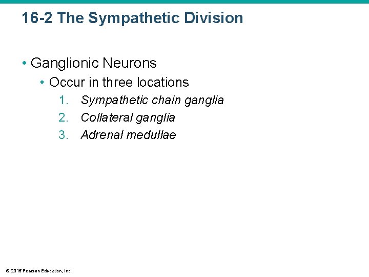 16 -2 The Sympathetic Division • Ganglionic Neurons • Occur in three locations 1.
