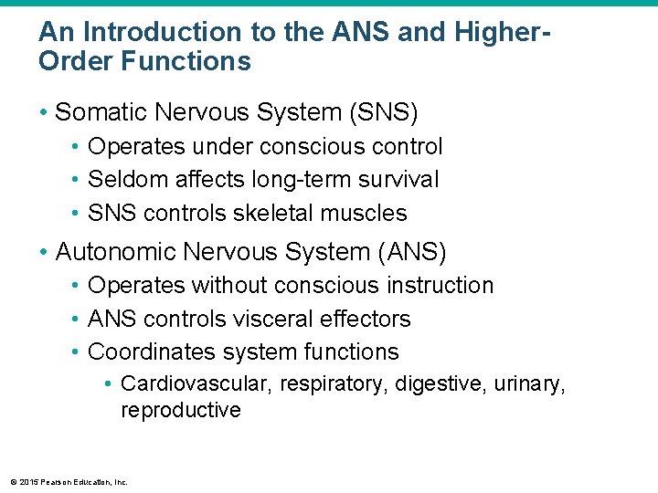 An Introduction to the ANS and Higher. Order Functions • Somatic Nervous System (SNS)