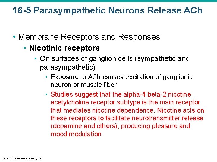 16 -5 Parasympathetic Neurons Release ACh • Membrane Receptors and Responses • Nicotinic receptors