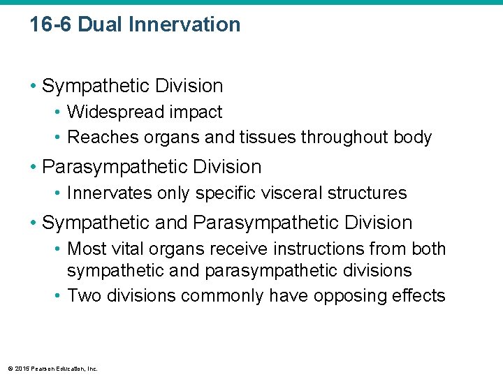 16 -6 Dual Innervation • Sympathetic Division • Widespread impact • Reaches organs and