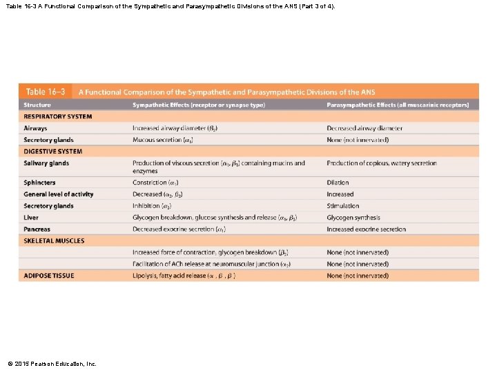 Table 16 -3 A Functional Comparison of the Sympathetic and Parasympathetic Divisions of the