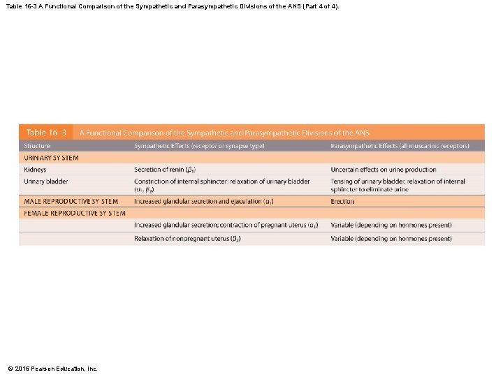 Table 16 -3 A Functional Comparison of the Sympathetic and Parasympathetic Divisions of the