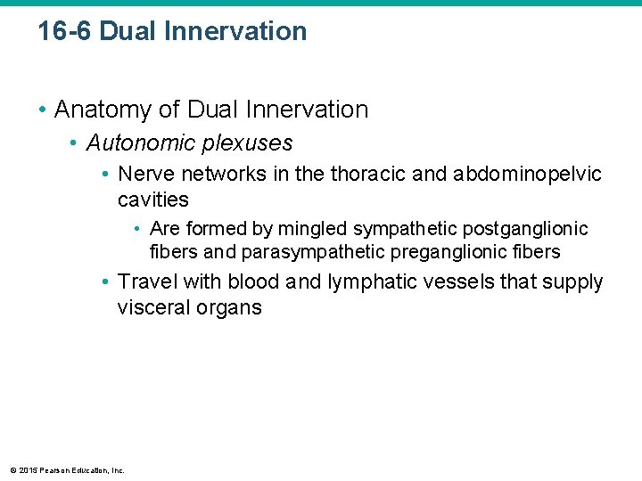 16 -6 Dual Innervation • Anatomy of Dual Innervation • Autonomic plexuses • Nerve