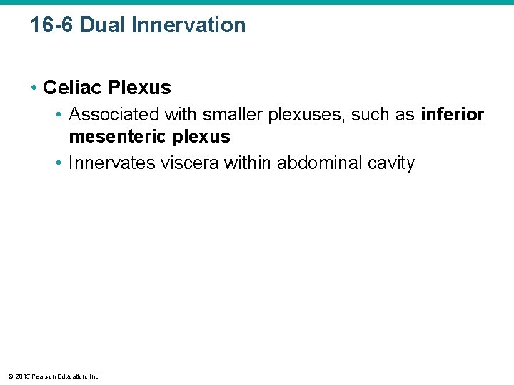 16 -6 Dual Innervation • Celiac Plexus • Associated with smaller plexuses, such as