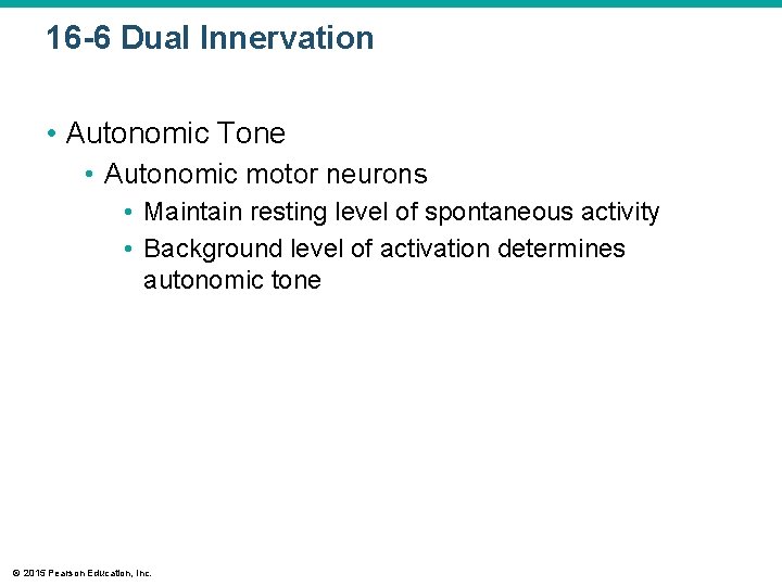 16 -6 Dual Innervation • Autonomic Tone • Autonomic motor neurons • Maintain resting