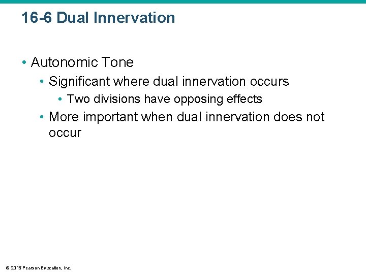 16 -6 Dual Innervation • Autonomic Tone • Significant where dual innervation occurs •