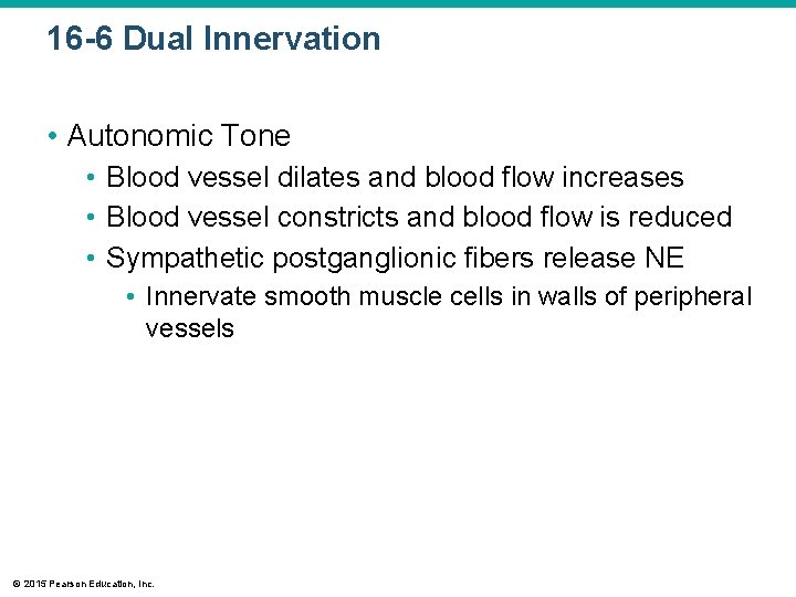 16 -6 Dual Innervation • Autonomic Tone • Blood vessel dilates and blood flow