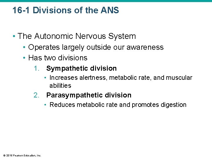 16 -1 Divisions of the ANS • The Autonomic Nervous System • Operates largely