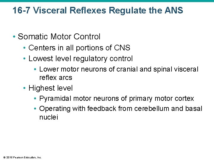 16 -7 Visceral Reflexes Regulate the ANS • Somatic Motor Control • Centers in