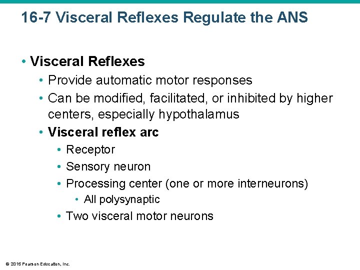 16 -7 Visceral Reflexes Regulate the ANS • Visceral Reflexes • Provide automatic motor