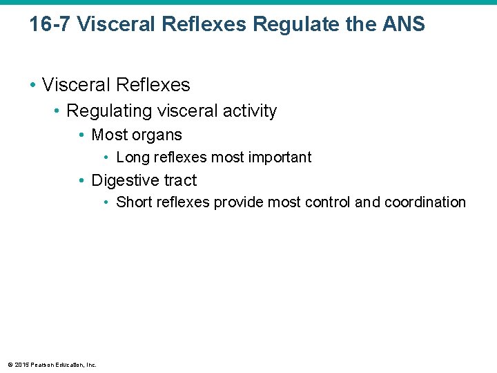 16 -7 Visceral Reflexes Regulate the ANS • Visceral Reflexes • Regulating visceral activity
