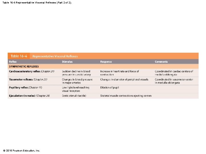 Table 16 -4 Representative Visceral Reflexes (Part 2 of 2). © 2015 Pearson Education,