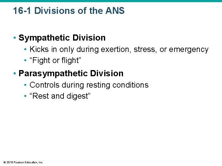 16 -1 Divisions of the ANS • Sympathetic Division • Kicks in only during
