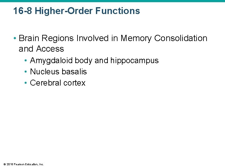 16 -8 Higher-Order Functions • Brain Regions Involved in Memory Consolidation and Access •