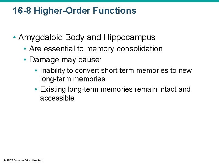 16 -8 Higher-Order Functions • Amygdaloid Body and Hippocampus • Are essential to memory