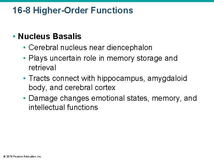 16 -8 Higher-Order Functions • Nucleus Basalis • Cerebral nucleus near diencephalon • Plays