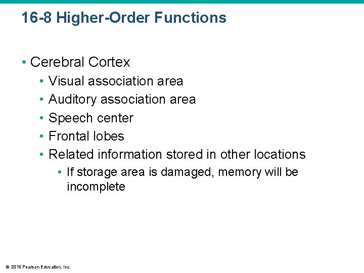 16 -8 Higher-Order Functions • Cerebral Cortex • • • Visual association area Auditory