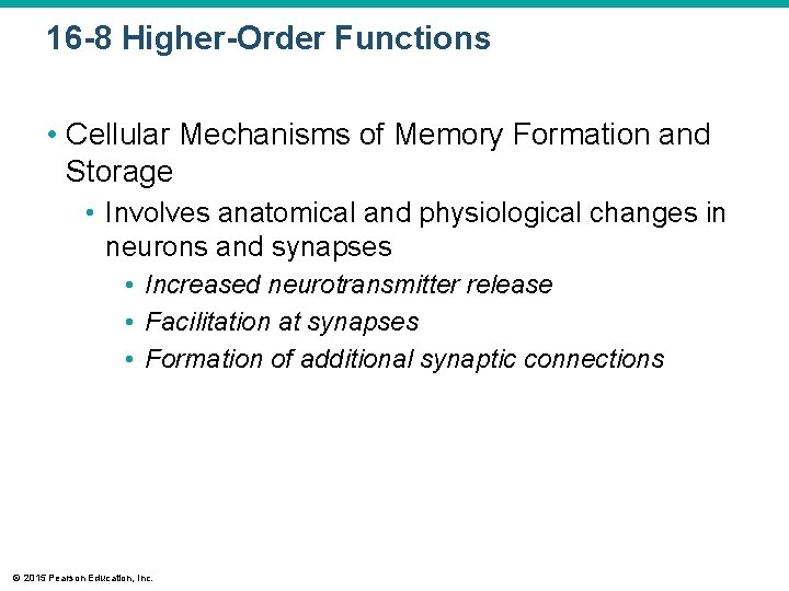 16 -8 Higher-Order Functions • Cellular Mechanisms of Memory Formation and Storage • Involves