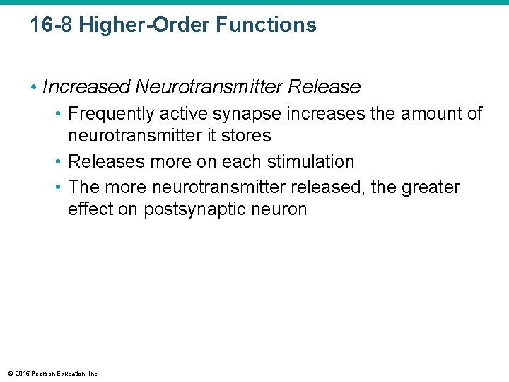 16 -8 Higher-Order Functions • Increased Neurotransmitter Release • Frequently active synapse increases the