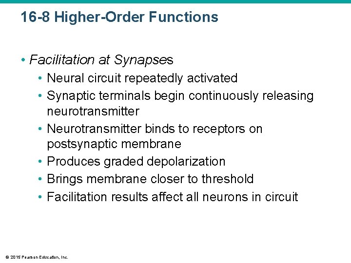 16 -8 Higher-Order Functions • Facilitation at Synapses • Neural circuit repeatedly activated •