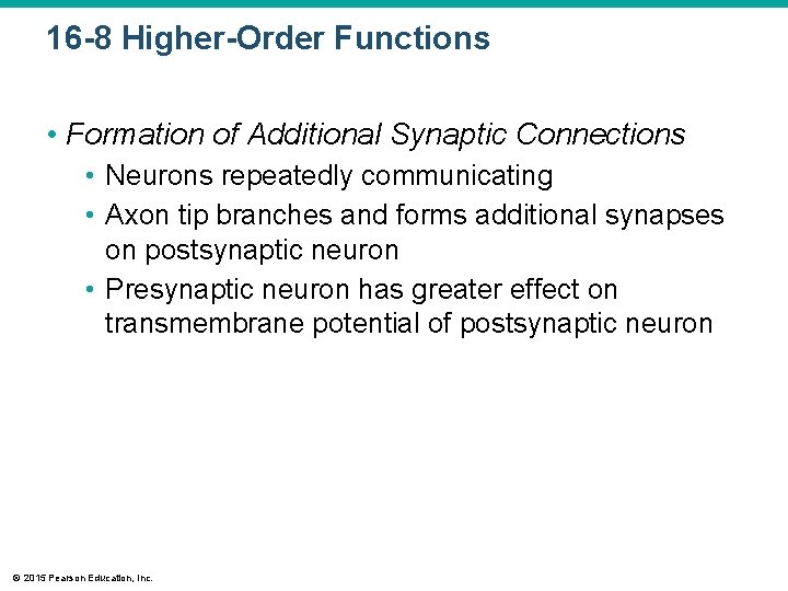 16 -8 Higher-Order Functions • Formation of Additional Synaptic Connections • Neurons repeatedly communicating