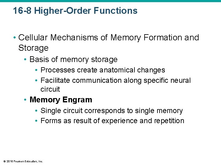 16 -8 Higher-Order Functions • Cellular Mechanisms of Memory Formation and Storage • Basis