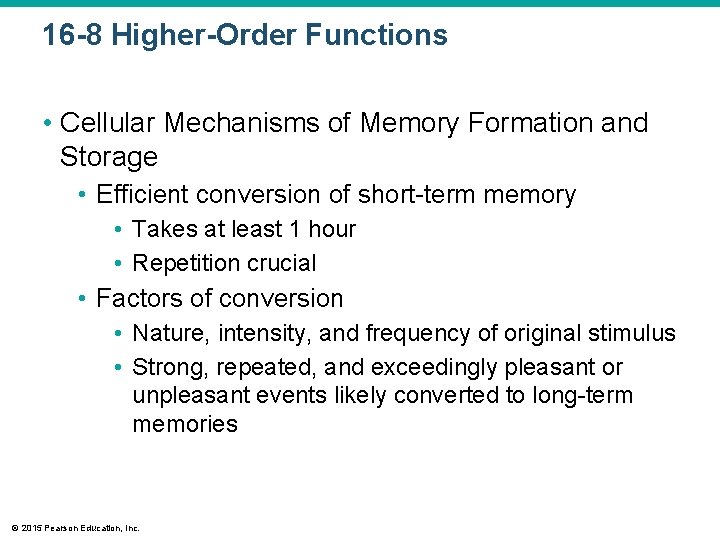 16 -8 Higher-Order Functions • Cellular Mechanisms of Memory Formation and Storage • Efficient