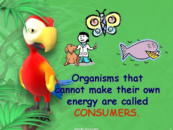 Organisms that cannot make their own energy are called CONSUMERS. copyright cmassengale 7 