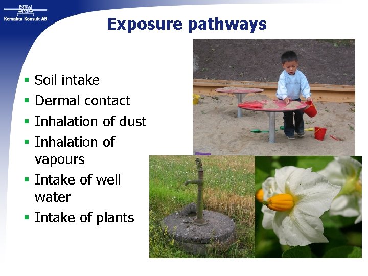 Exposure pathways § Soil intake § Dermal contact § Inhalation of dust § Inhalation