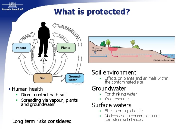 What is protected? Soil environment § § Human health § Direct contact with soil