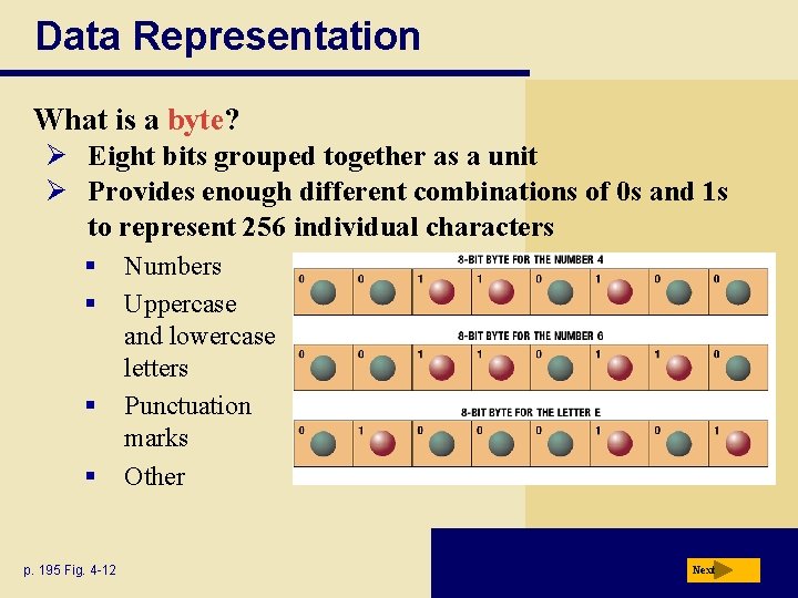 Data Representation What is a byte? Ø Eight bits grouped together as a unit