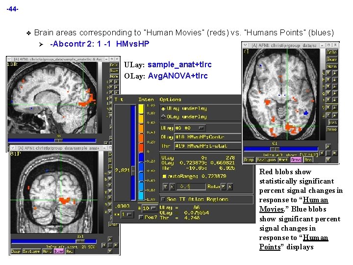 -44 - v Brain areas corresponding to “Human Movies” (reds) vs. “Humans Points” (blues)