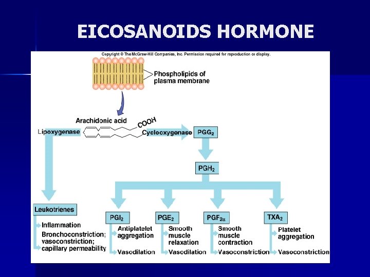 EICOSANOIDS HORMONE 