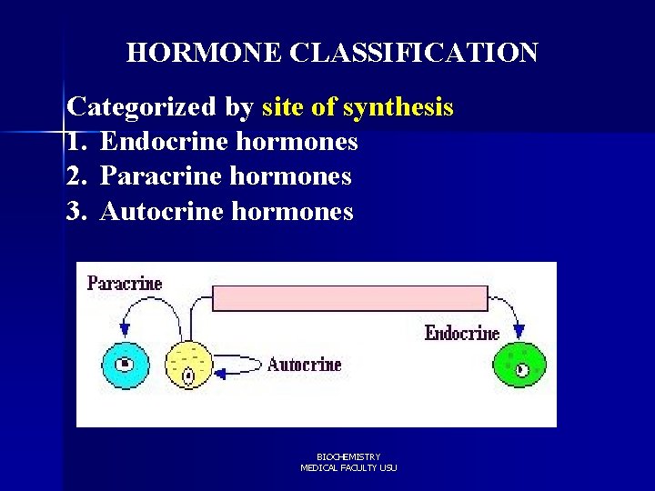 HORMONE CLASSIFICATION Categorized by site of synthesis 1. Endocrine hormones 2. Paracrine hormones 3.