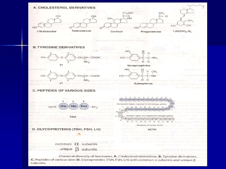 BIOCHEMISTRY MEDICAL FACULTY USU 