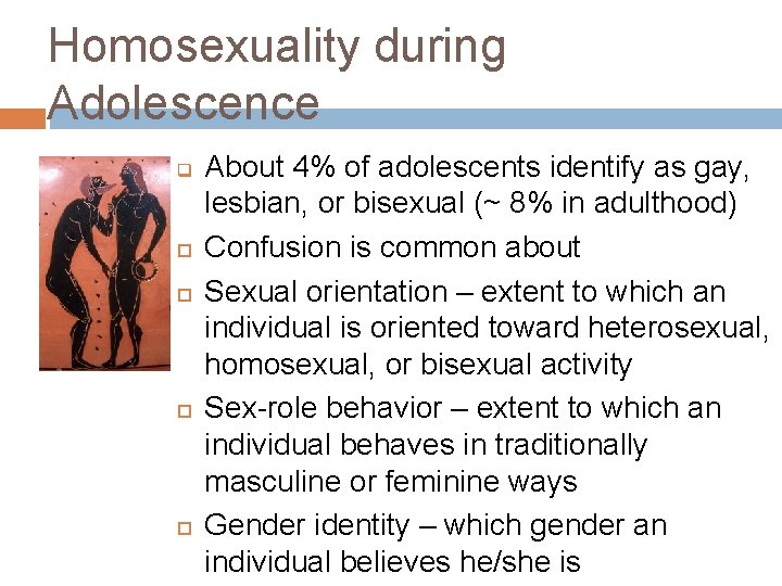 Homosexuality during Adolescence q About 4% of adolescents identify as gay, lesbian, or bisexual