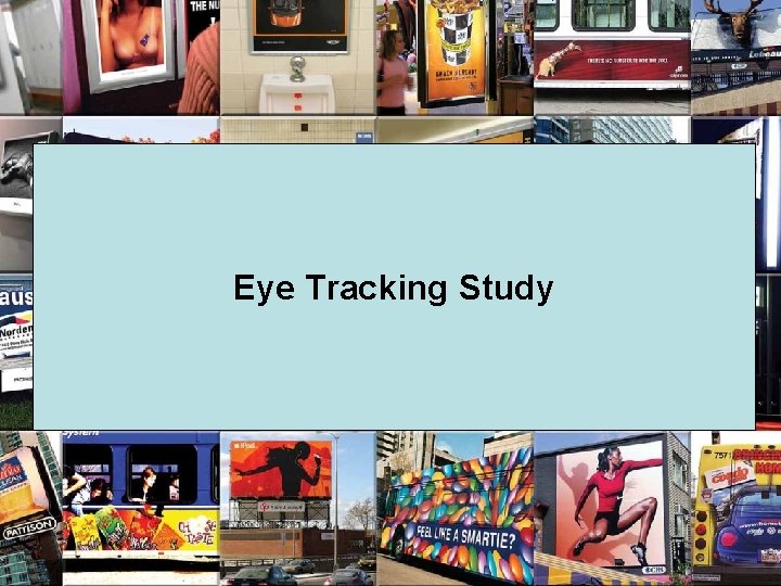 Eye Tracking Study 