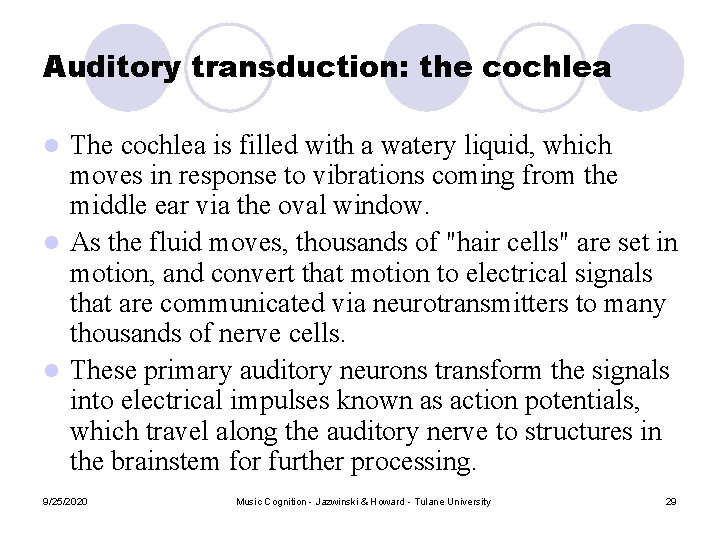 Auditory transduction: the cochlea The cochlea is filled with a watery liquid, which moves Auditory transduction: the cochlea The cochlea is filled with a watery liquid, which moves