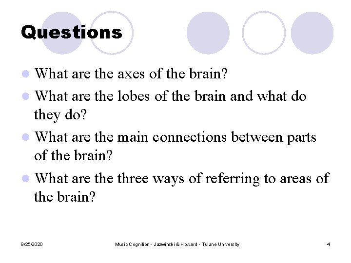Questions l What are the axes of the brain? l What are the lobes Questions l What are the axes of the brain? l What are the lobes