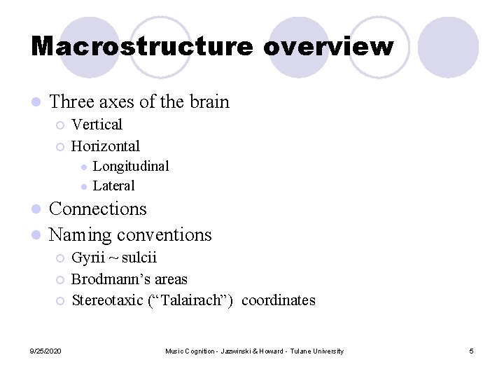 Macrostructure overview l Three axes of the brain ¡ ¡ Vertical Horizontal l l Macrostructure overview l Three axes of the brain ¡ ¡ Vertical Horizontal l l