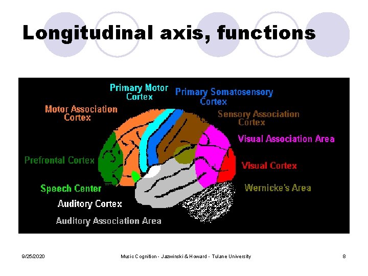 Longitudinal axis, functions 9/25/2020 Music Cognition - Jazwinski & Howard - Tulane University 8 Longitudinal axis, functions 9/25/2020 Music Cognition - Jazwinski & Howard - Tulane University 8