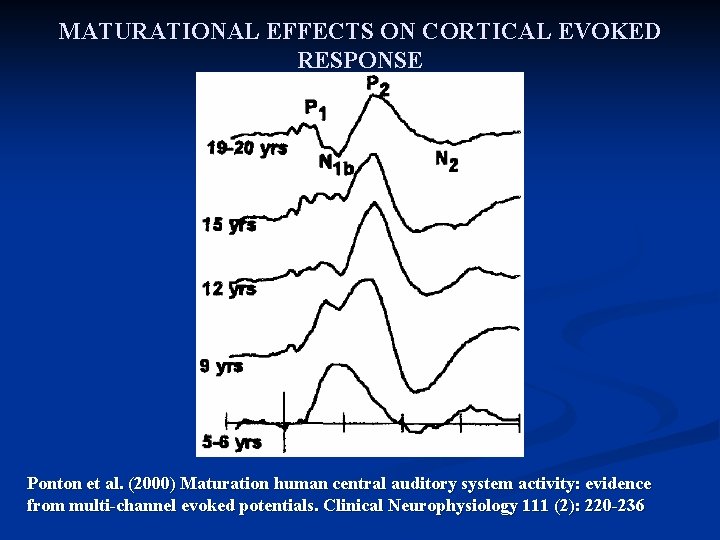 MATURATIONAL EFFECTS ON CORTICAL EVOKED RESPONSE Ponton et al. (2000) Maturation human central auditory