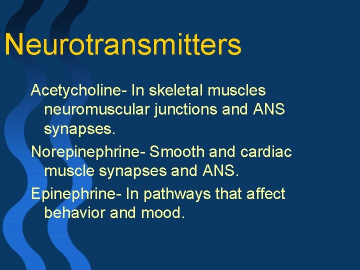 Neurotransmitters Acetycholine- In skeletal muscles neuromuscular junctions and ANS synapses. Norepinephrine- Smooth and cardiac