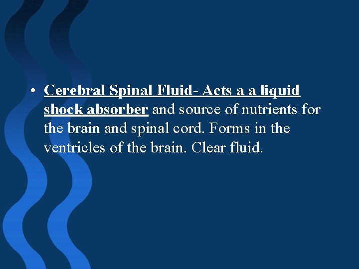  • Cerebral Spinal Fluid- Acts a a liquid shock absorber and source of