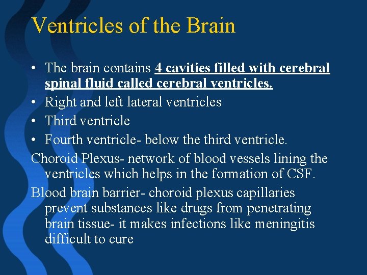 Ventricles of the Brain • The brain contains 4 cavities filled with cerebral spinal