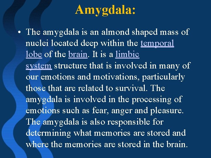 Amygdala: • The amygdala is an almond shaped mass of nuclei located deep within