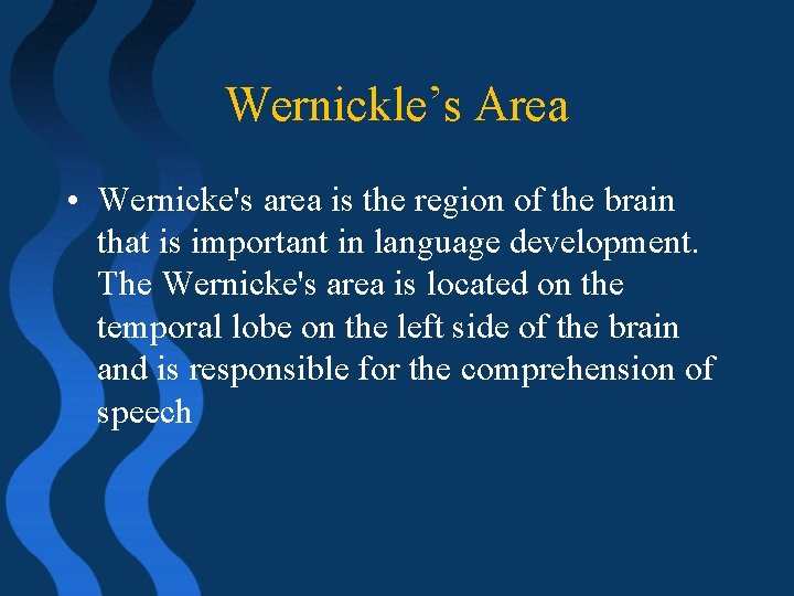 Wernickle’s Area • Wernicke's area is the region of the brain that is important