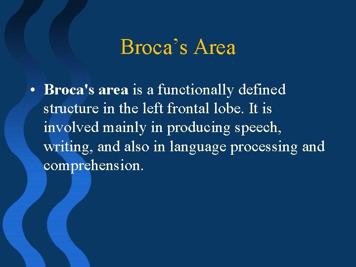 Broca’s Area • Broca's area is a functionally defined structure in the left frontal