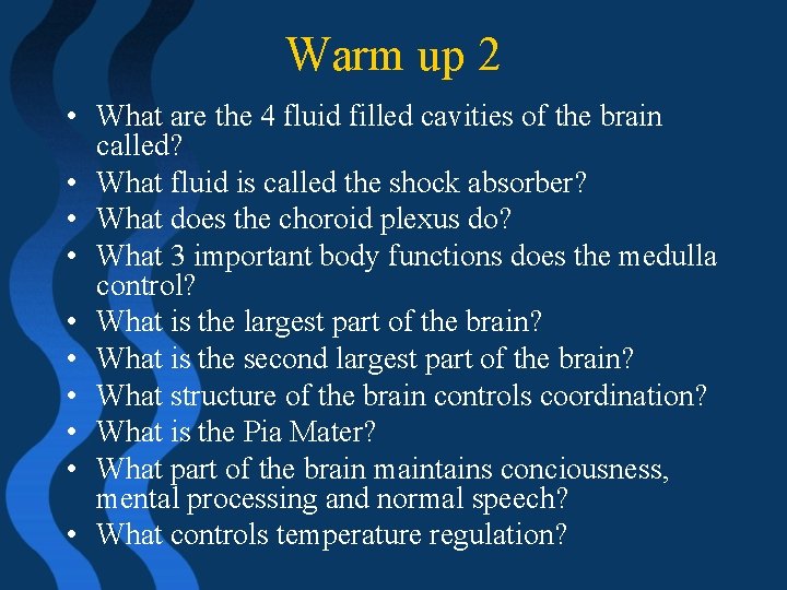 Warm up 2 • What are the 4 fluid filled cavities of the brain